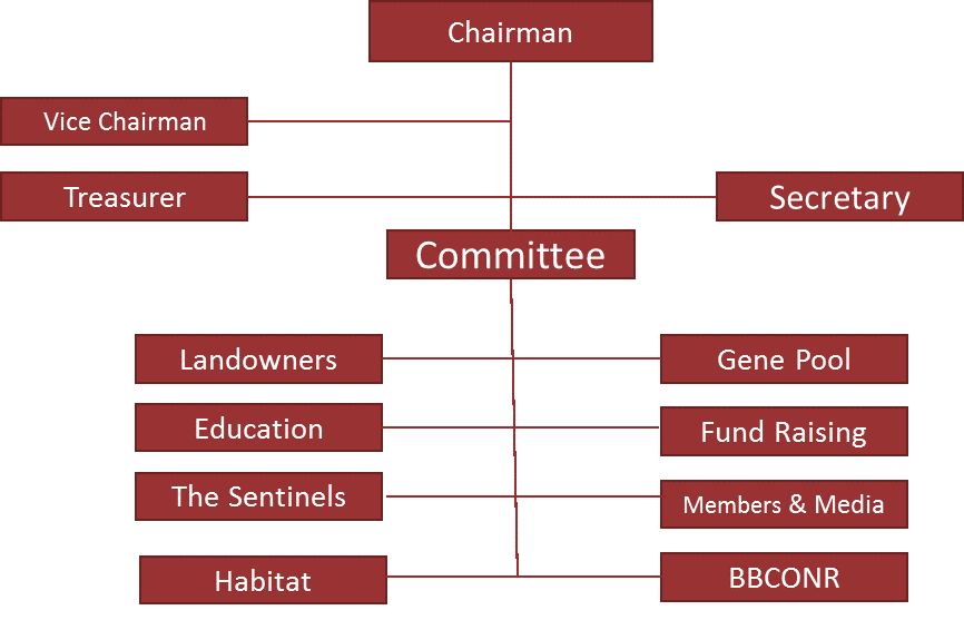 organogram