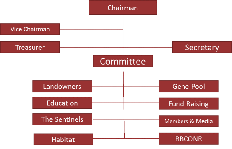 organogram – KZN Crane Foundation